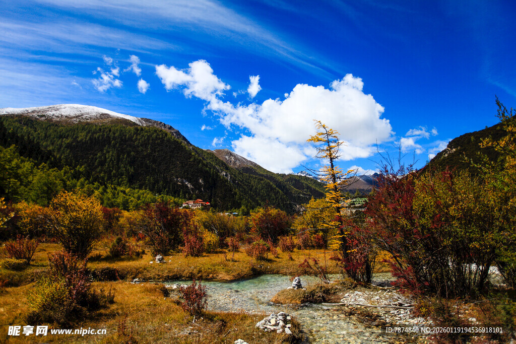 秋日山间溪流美景
