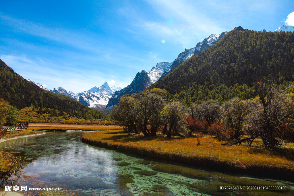 山间溪流旁的秀丽自然风光