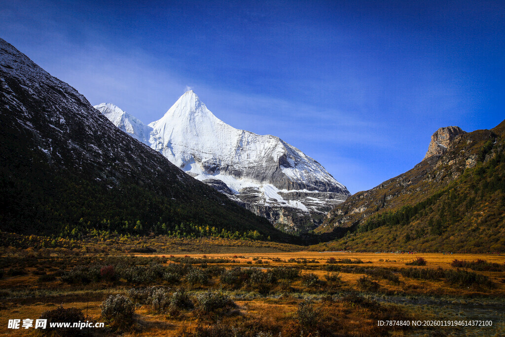 雪山下的壮美山谷景色