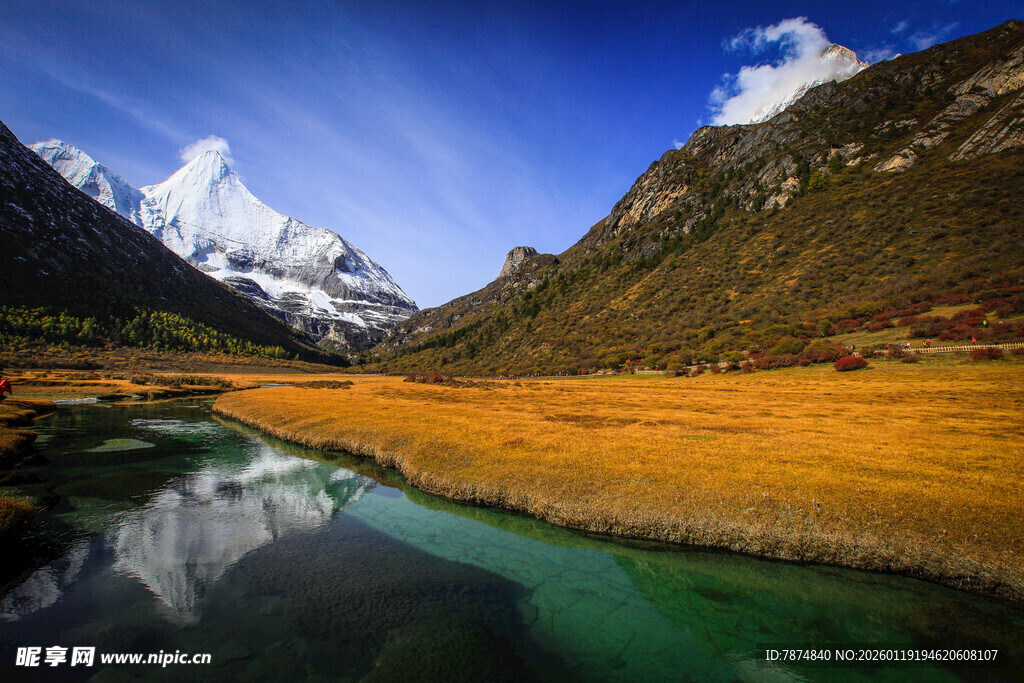雪山下的多彩河谷风光