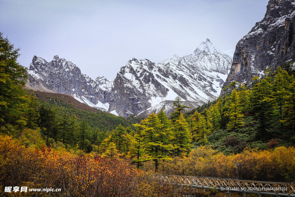 秋日山间美景 雪峰映林