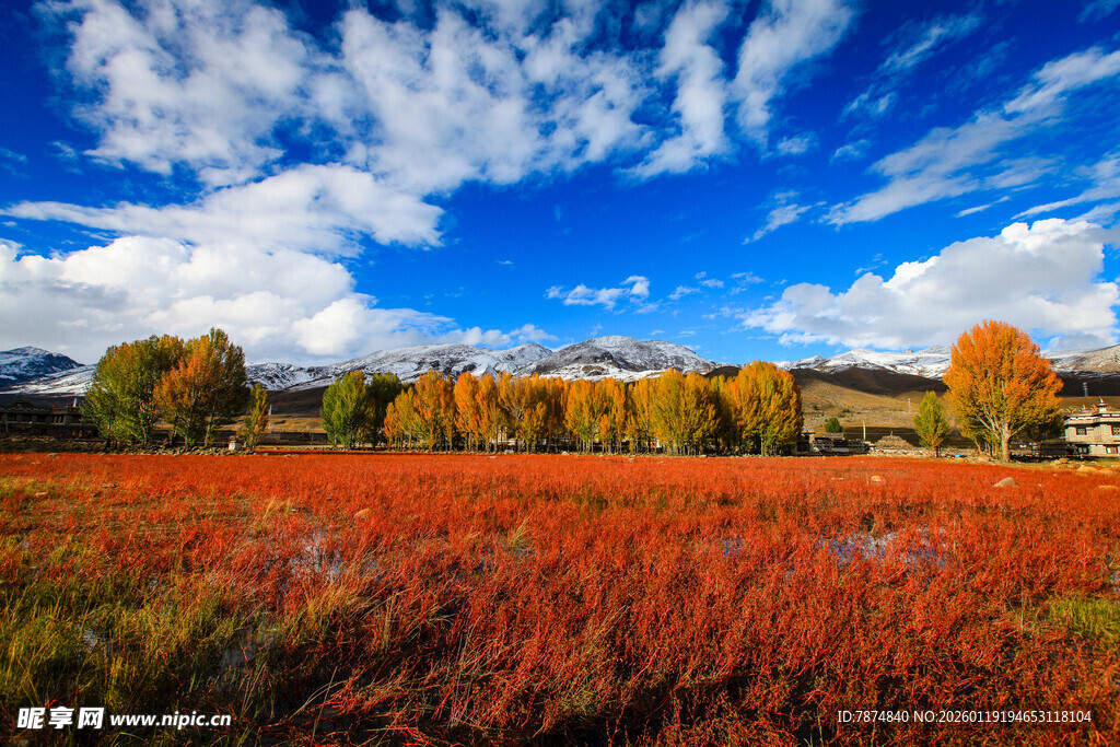 秋日多彩原野风景