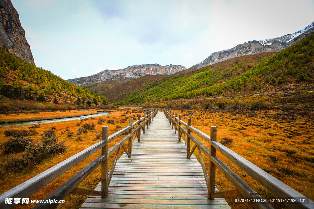 山间木桥 邂逅自然美景