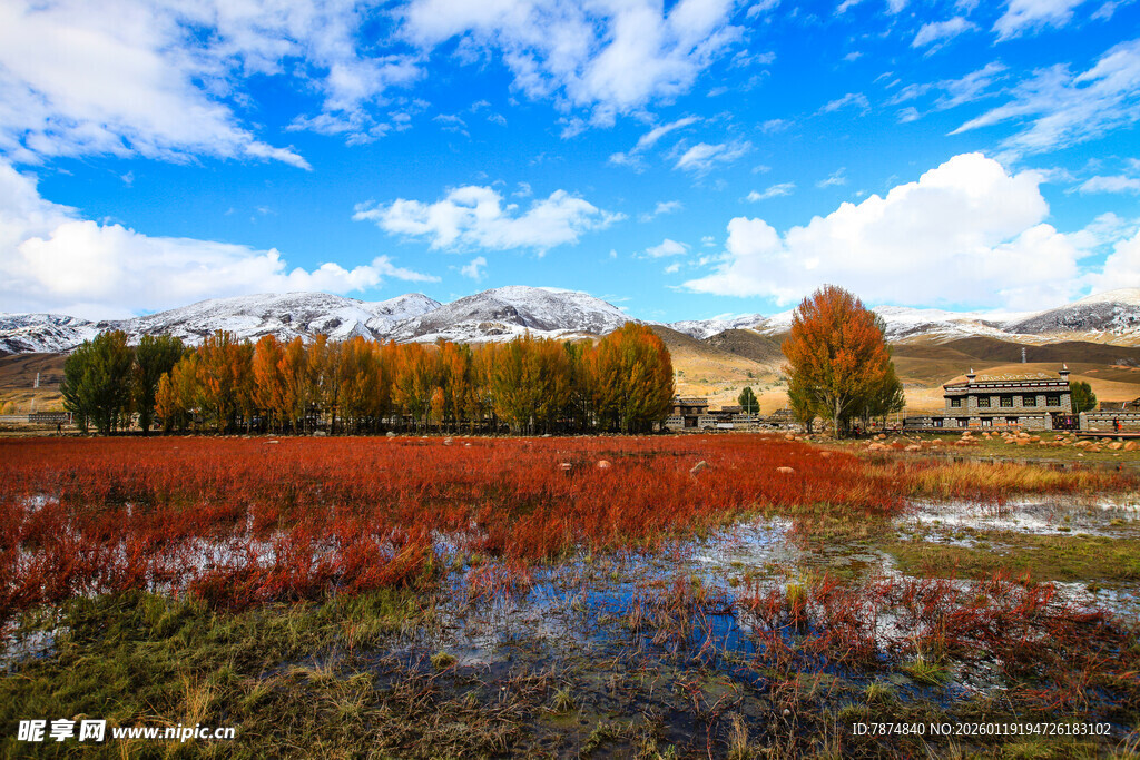 秋日多彩田野风光