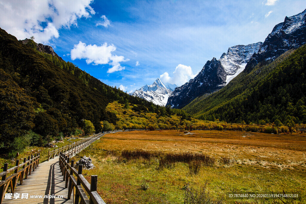 山间木栈道旁的壮丽美景