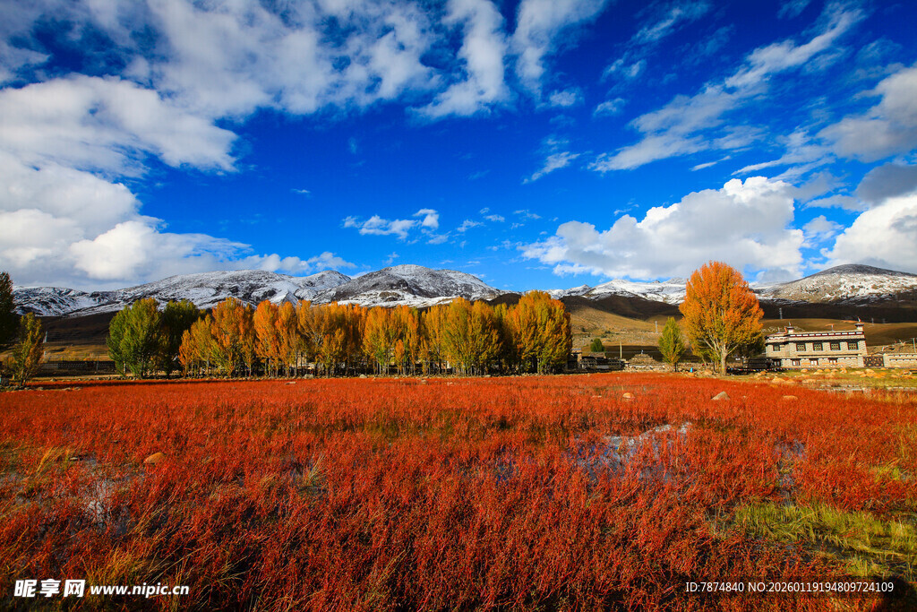 秋日绚烂原野风光