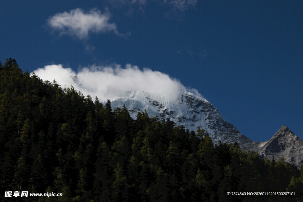 巍峨山峦与云端森林