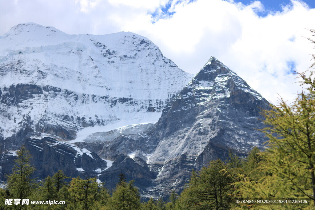 巍峨雪山与葱郁林木景观