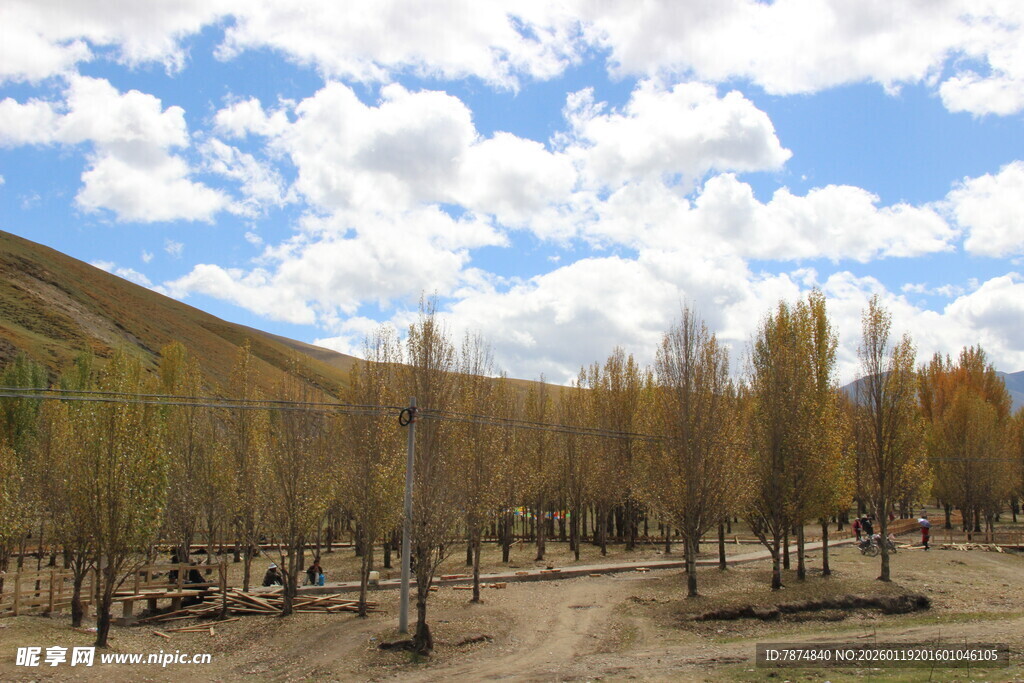 秋日山林间的开阔景致