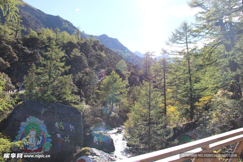山间栈道旁的秀丽自然景色