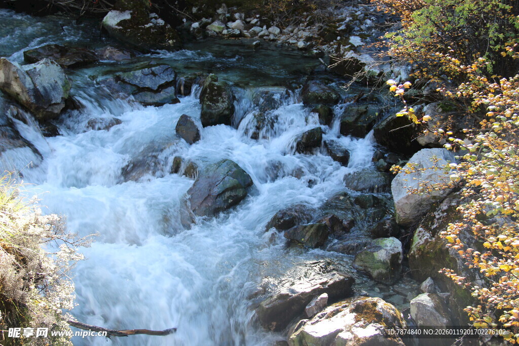 山间溪流潺潺流淌