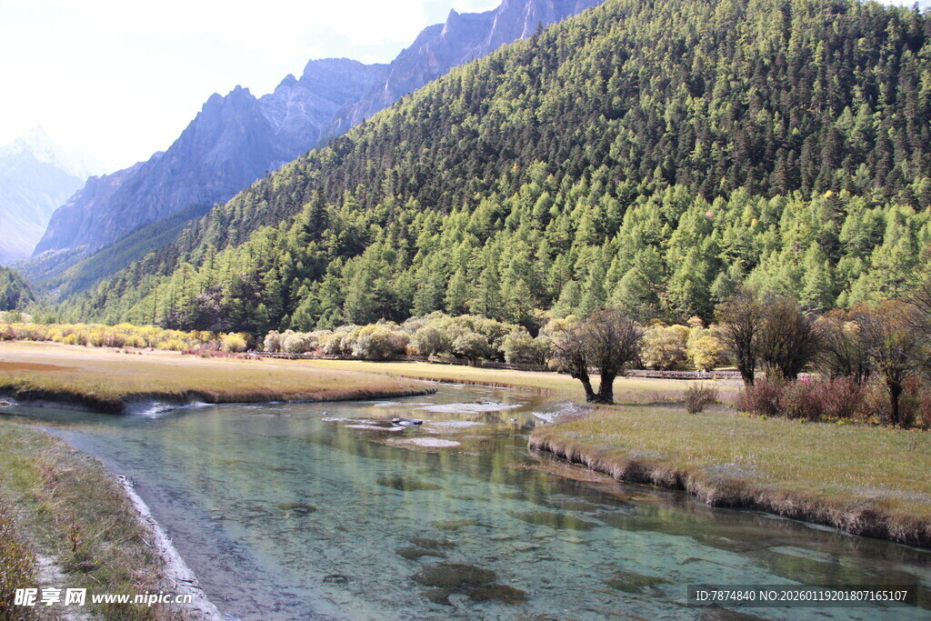 山间清澈溪流与葱郁山林