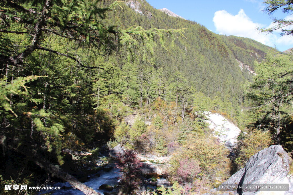山间绿意盎然的自然景致