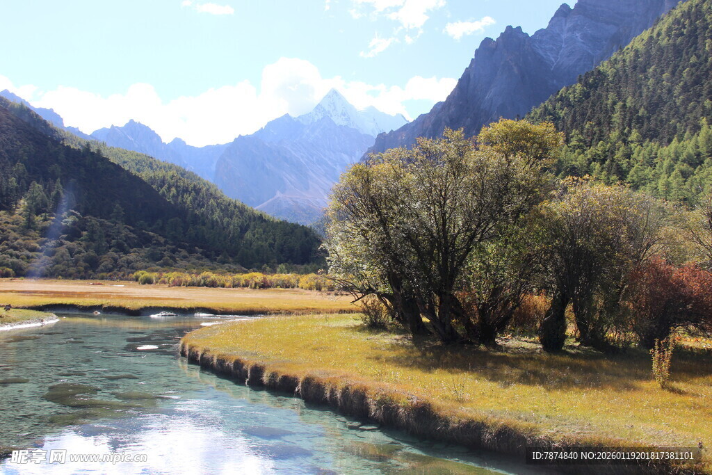 山间溪流旁的秀丽风光