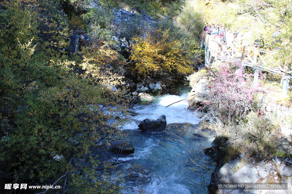 山间溪流与多彩植被景观