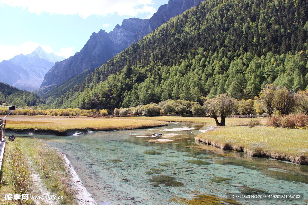 山间清澈溪流与葱郁山林