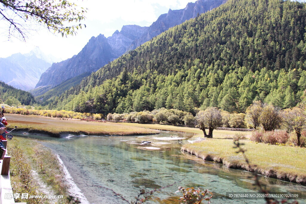 山间清澈溪流与葱郁山林