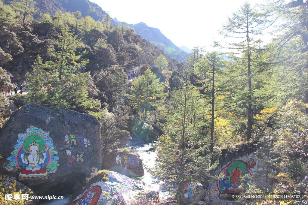 山间多彩岩石与葱郁林木