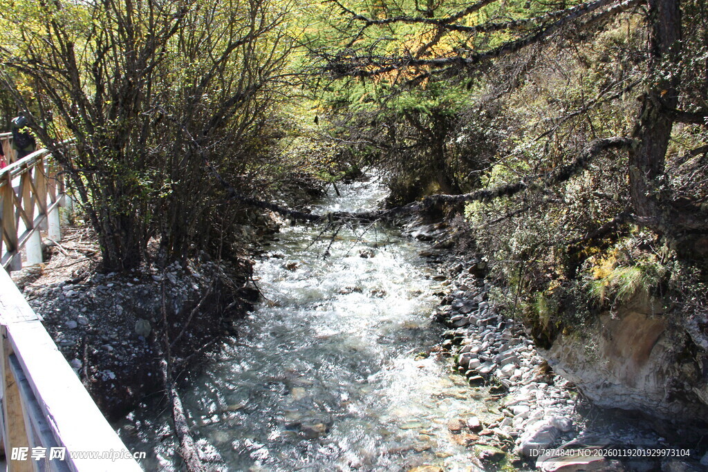 山间溪流旁的自然景致