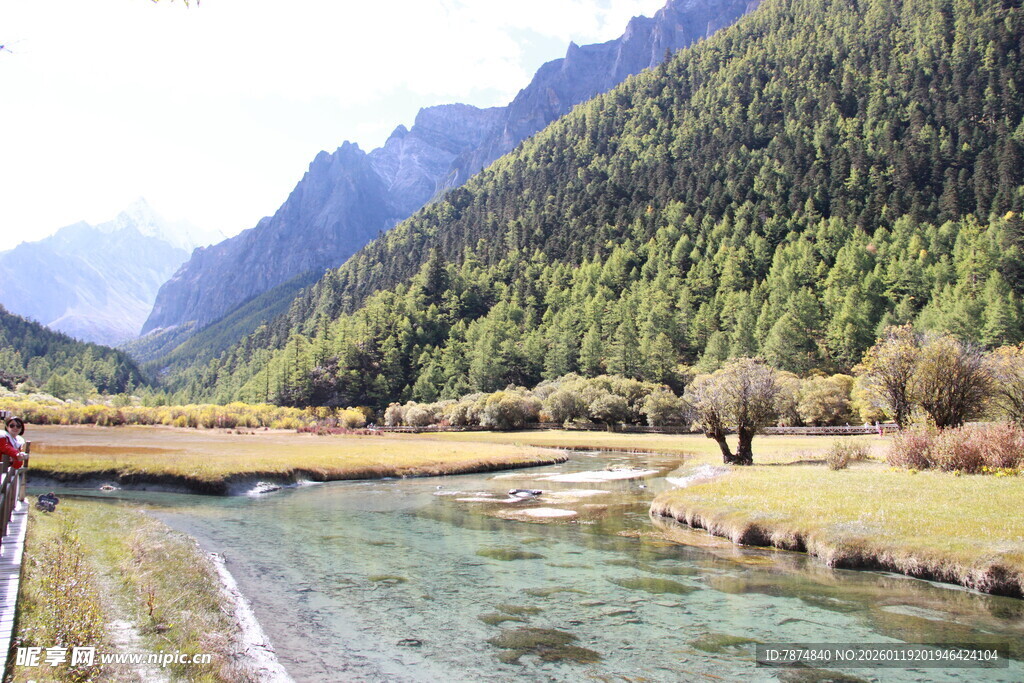 山间溪流旁的秀丽风光