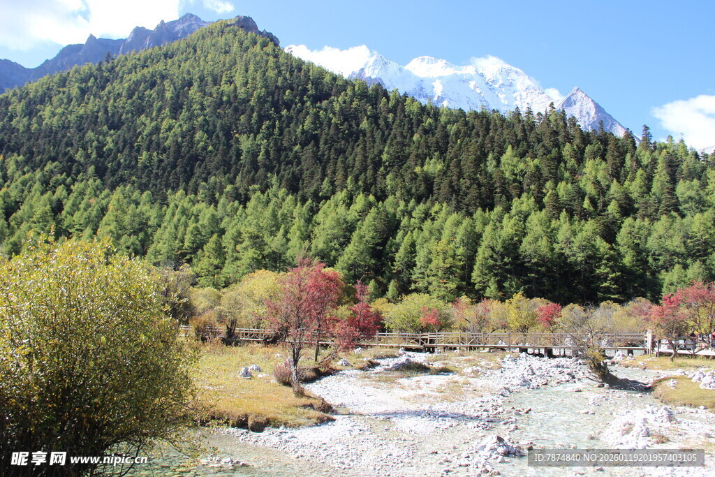 山间多彩秋景图