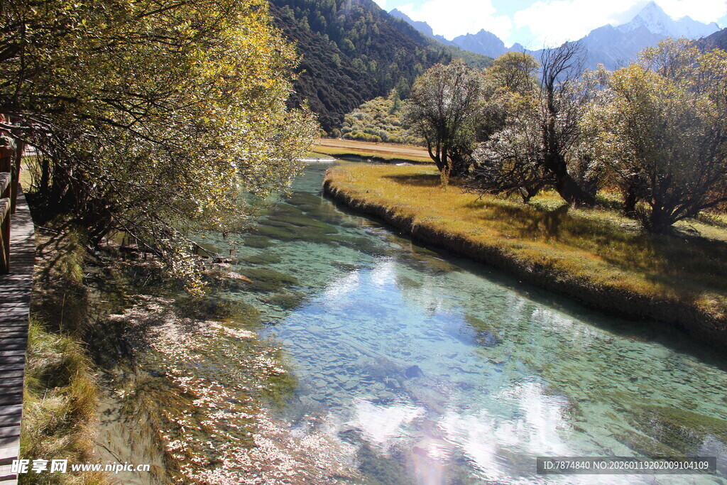 山间清澈溪流秋日美景