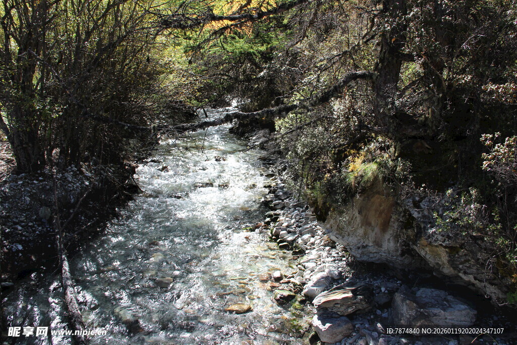 山间溪流潺潺流淌