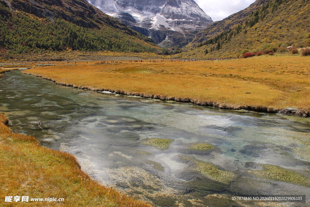 山间清澈溪流与金黄草地