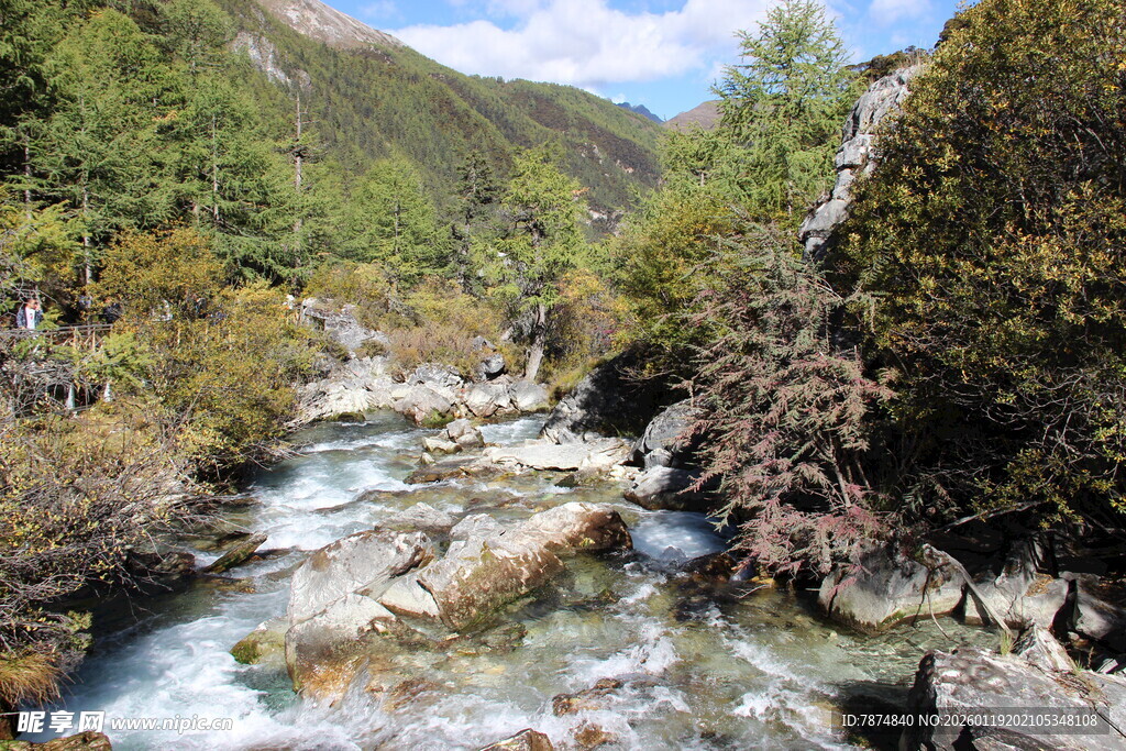 山间溪流 自然清新之景