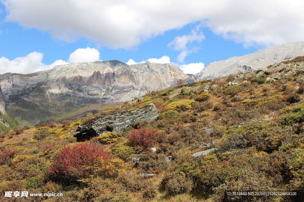 山间多彩植被与巍峨雪山