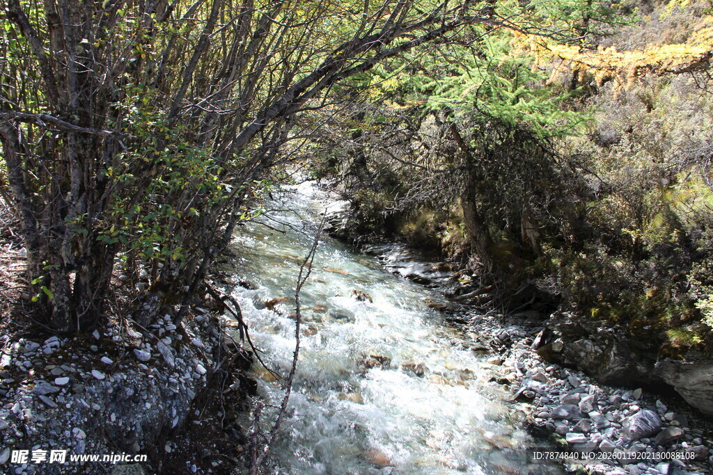 山间潺潺溪流