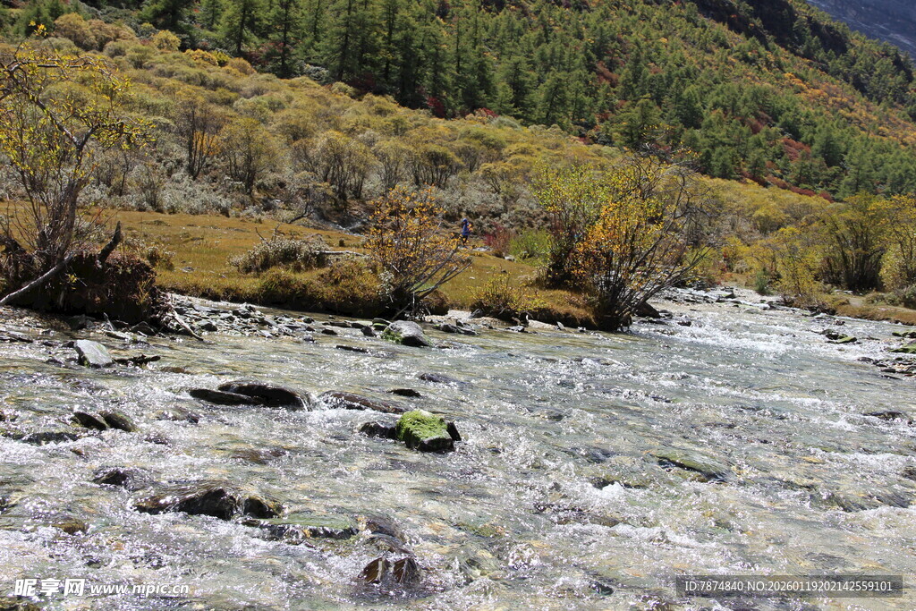 山间湍流 多彩河岸景致