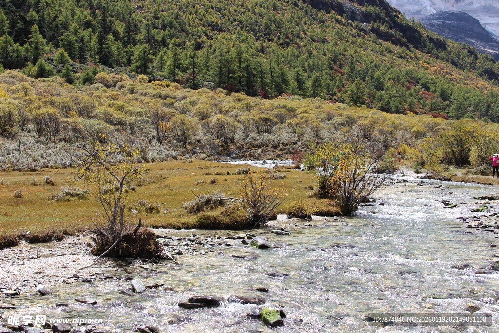 山间溪流旁的自然景致