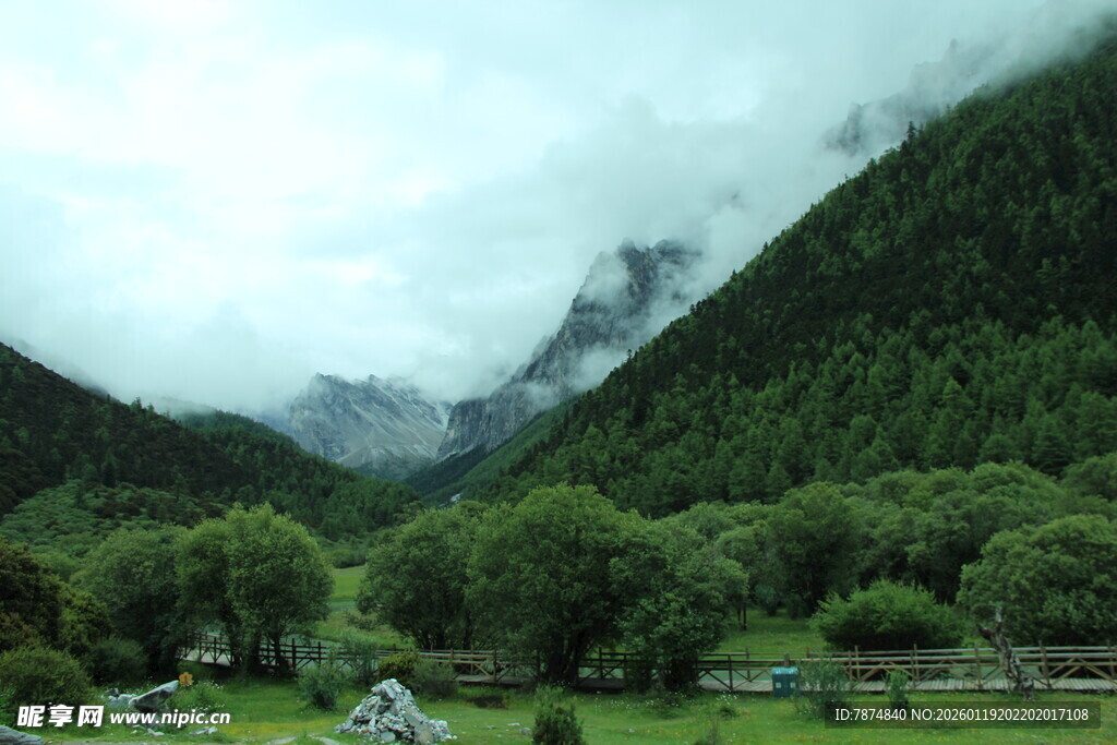 山间绿野 云雾缭绕之景
