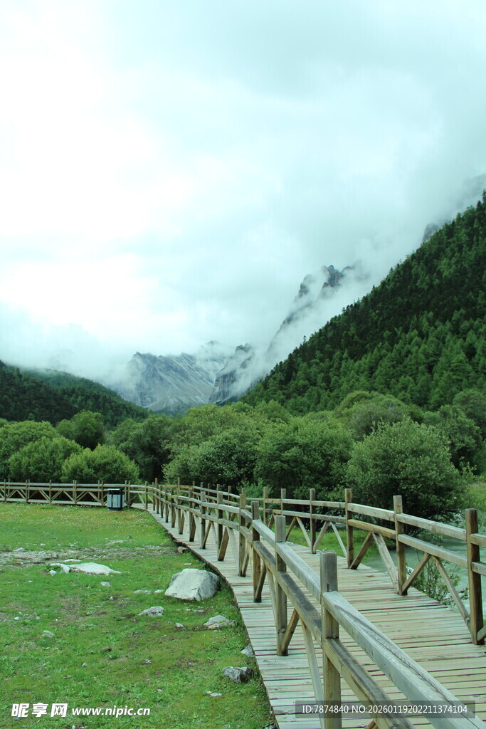 山间木栈道旁的绿野风光