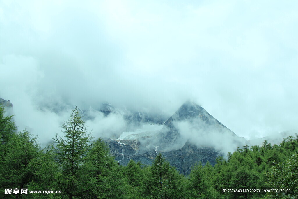 云雾缭绕的山林美景