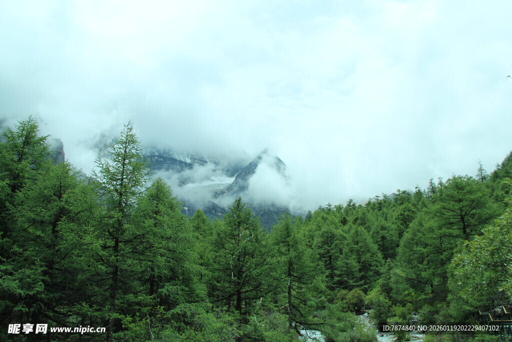 山林云雾间的自然美景