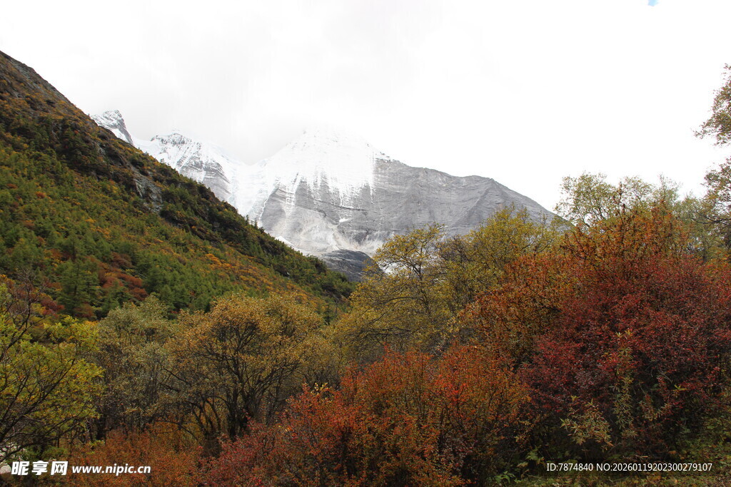 山间秋景 多彩植被与远山