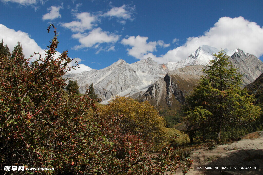 山间美景 雪峰与植被相映