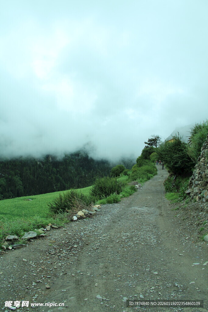 乡间土路 绿意环绕的风景