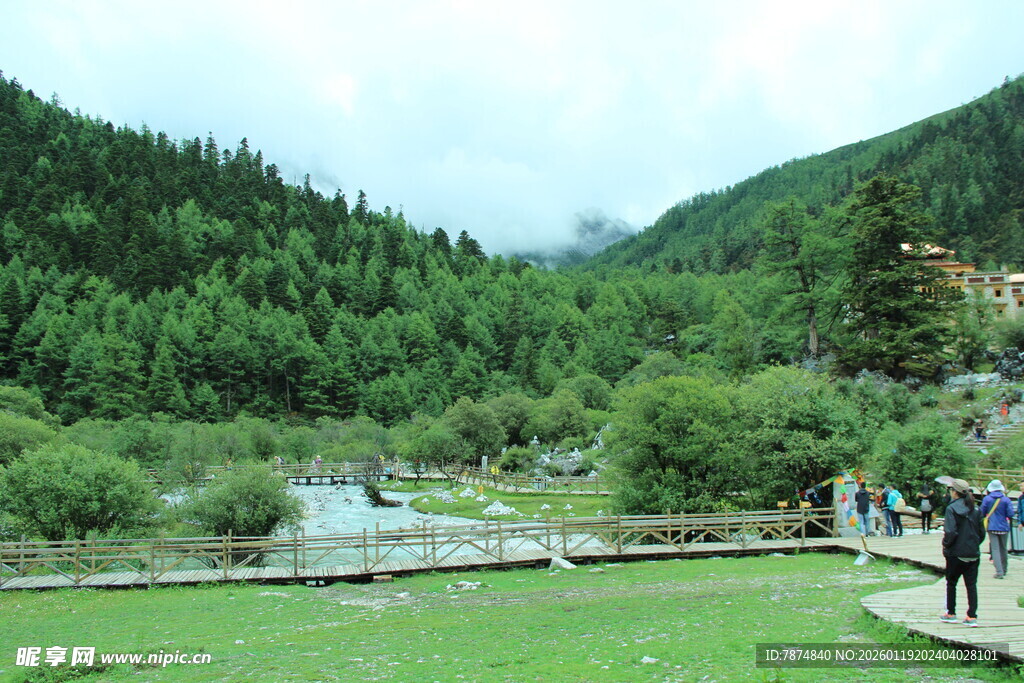 山间绿野 漫步清幽之境