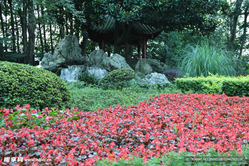 繁花似锦的园林景观