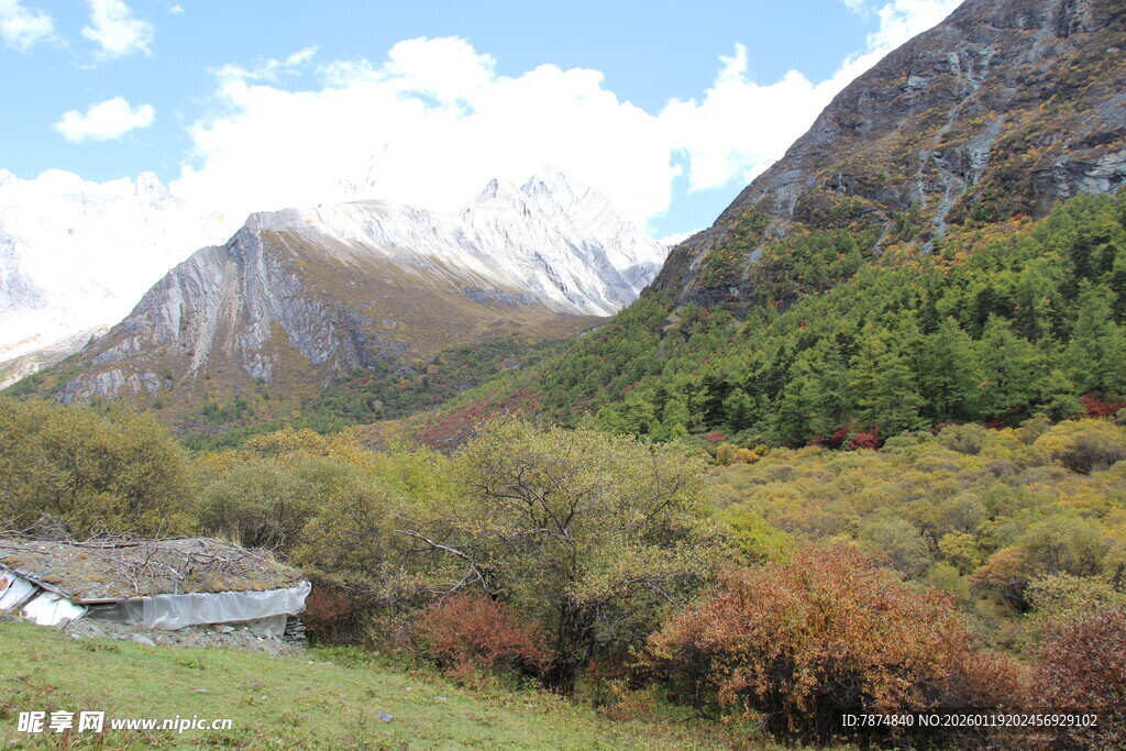 山间秋景 自然村落风光