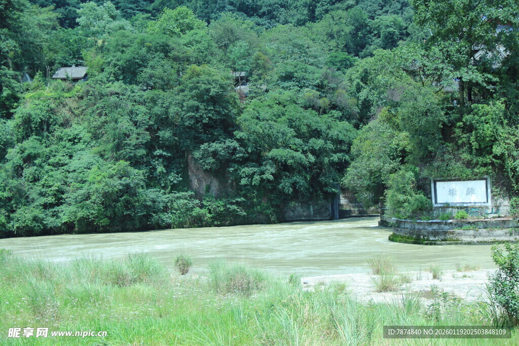 山林边的开阔草地景观