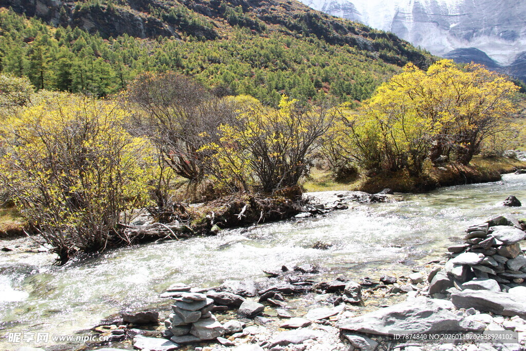 山间溪流旁的斑斓树林