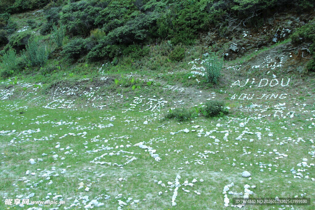 山坡上的白色碎石景观