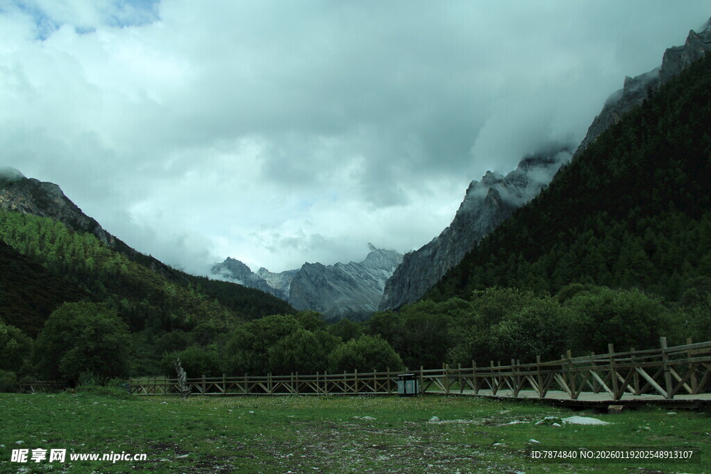 山间绿野木桥 自然景致