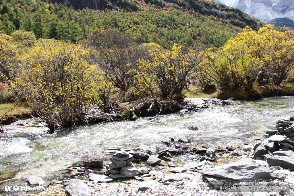 山间溪流旁的多彩树林