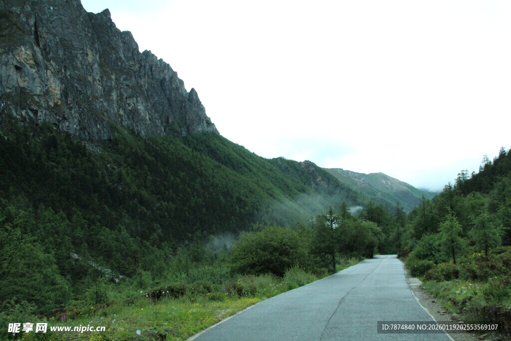 山间公路 绿意盎然的风景