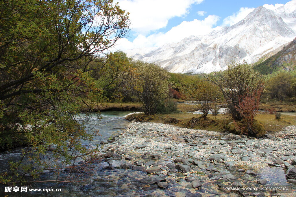 山间溪流旁的多彩景致